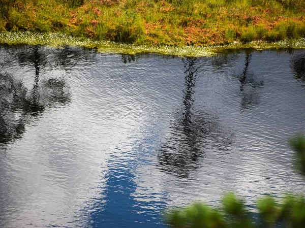 Landschaft Mit Sumpfsee Kleinen Sumpfkiefern Gras Und Moos Weiße Wolken — Stockfoto