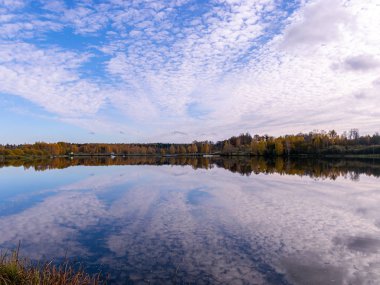 Sakin sulara yansıyan ağaçlarla ve bulutlarla dolu bir manzara.
