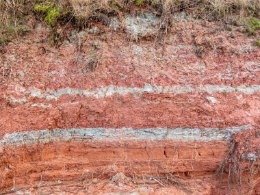 kırmızı ve beyaz kil desenli renkli soyut resim