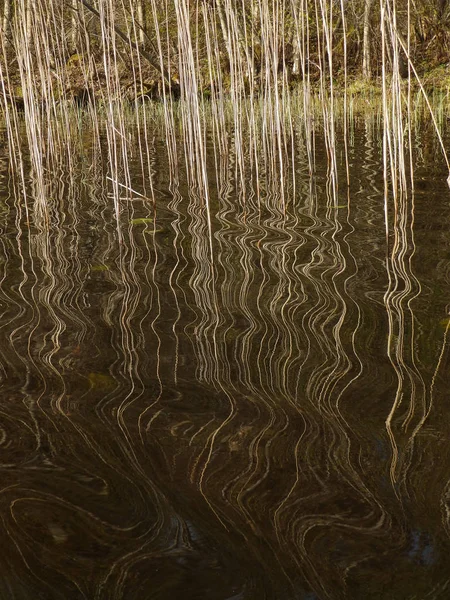 Abstraktes Bild eines Baumes mit Wasserspiegelung — Stockfoto