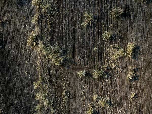 Abstraktní obrázek s dřevěnou texturou — Stock fotografie