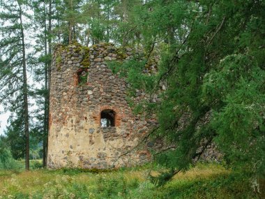 Eski kale harabeleri, ağaç dalları ve ön planda çimenler olan manzara.