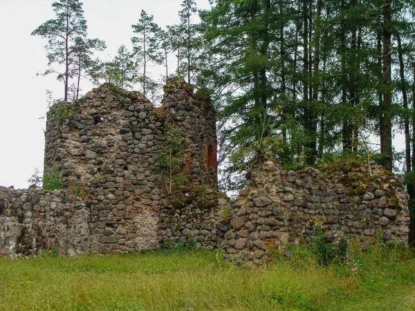 Landscape Old Castle Tower Ruins Tree Branches Grass Foreground — 스톡 사진