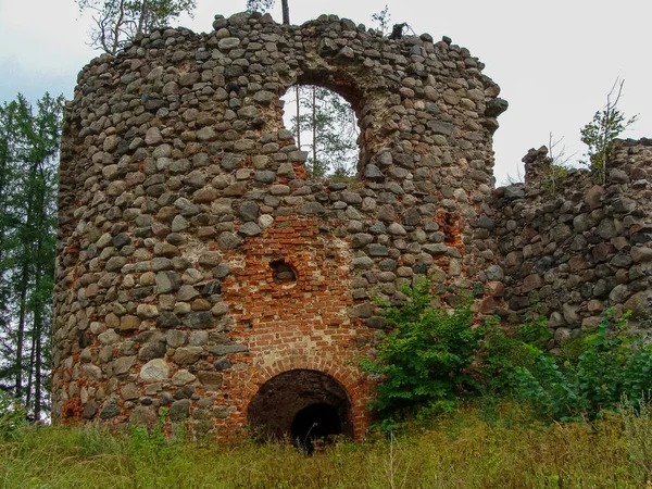 Krajobraz Starymi Ruinami Wieży Zamkowej Gałęziami Drzew Trawą Pierwszym Planie — Zdjęcie stockowe