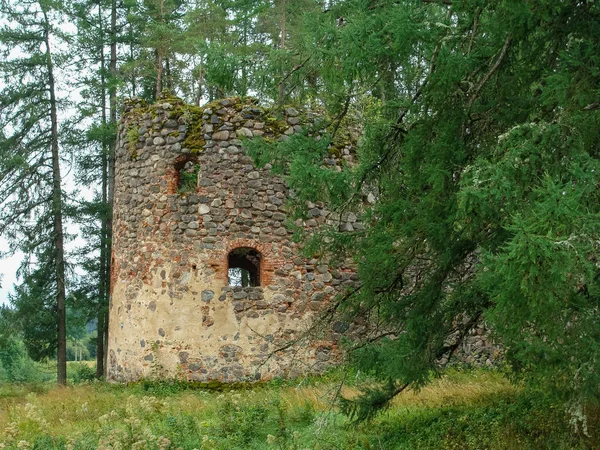 Táj Régi Vártorony Romok Faágak Előtérben — Stock Fotó