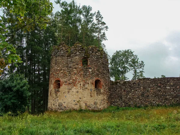 Paisagem Com Ruínas Velhas Torre Castelo Galhos Árvore Grama Primeiro — Fotografia de Stock