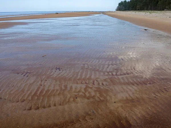 Landscape Calm Seashore Forest Horizon — Stock Photo, Image