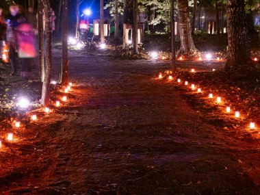 Işık resimli soyut resim, ormanda mum ışığı, ağaç siluetleri.