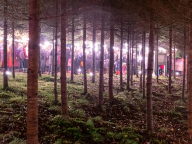 Işık resimli soyut resim, ormanda mum ışığı, ağaç siluetleri.