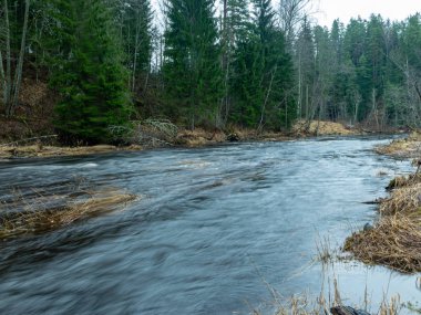 Sahilde küçük bir nehir ve yeşil ağaçlar var.