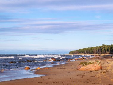 deniz kıyısı ile peyzaj