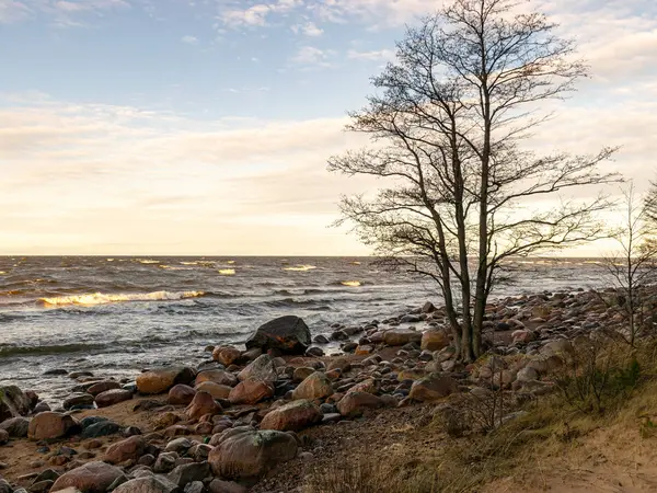 Landschap met stenig strand — Stockfoto