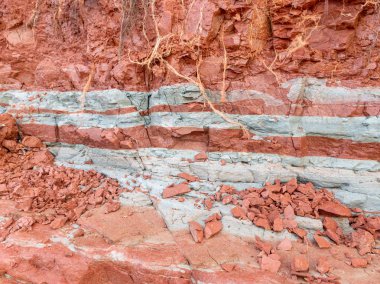 kırmızı ve beyaz kil desenli renkli soyut resim