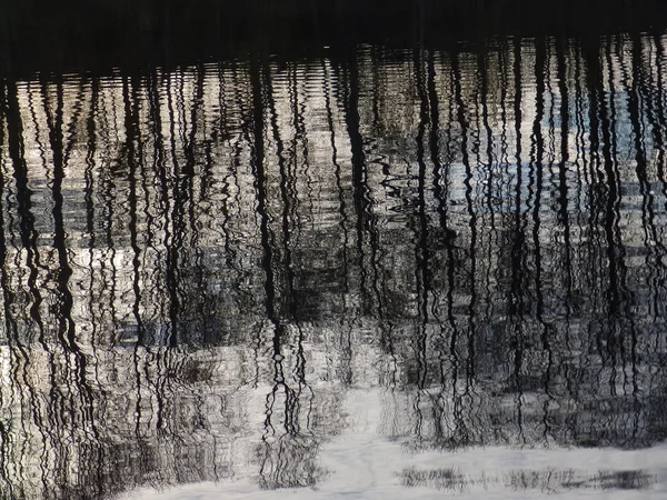 具有水反射的树的抽象图像 — 图库照片