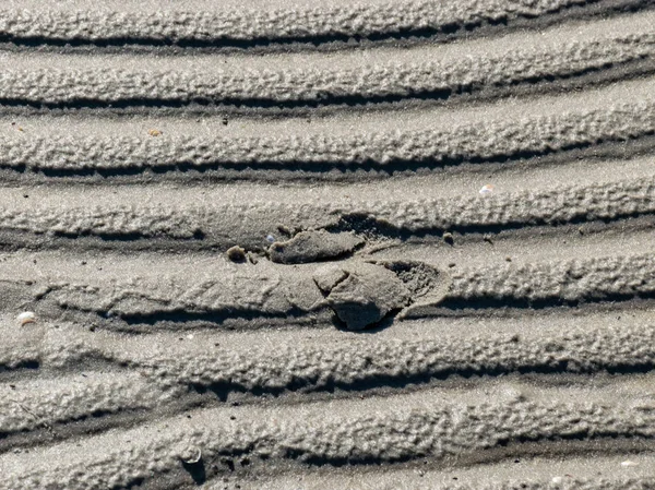 abstract texture with sand texture