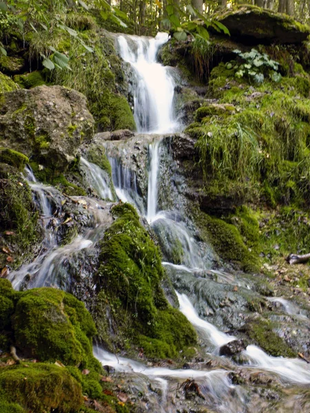 Picture Waterfall Dense Forest Background — Stock Photo, Image