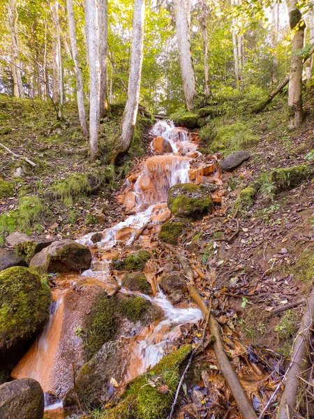 wild landscape with a small waterfall, running water in orange tones. rocks, rocky trees, twigs and moss.