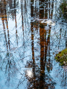 soyut ağaç ve gökyüzü yansımaları suda, bulanık doku, duvar kağıdı