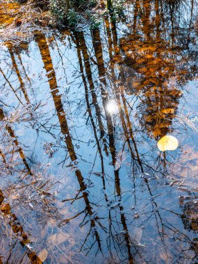 soyut ağaç ve gökyüzü yansımaları suda, bulanık doku, duvar kağıdı