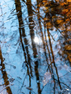 soyut ağaç ve gökyüzü yansımaları suda, bulanık doku, duvar kağıdı