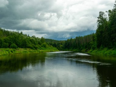 Arka planda ağaçlar ve göl manzarası