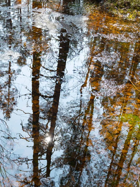 Abstrakte Baum Und Himmelsspiegelungen Wasser Verschwommene Textur Tapete — Stockfoto