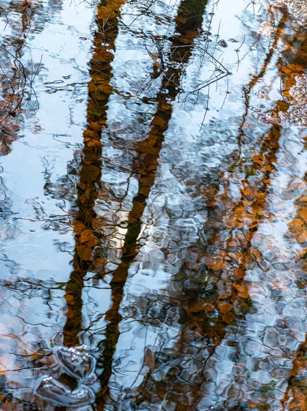 Abstrakt Träd Och Himmel Reflektioner Vatten Luddig Konsistens Tapeter — Stockfoto
