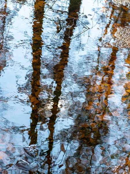 Abstrakte Baum Und Himmelsspiegelungen Wasser Verschwommene Textur Tapete — Stockfoto