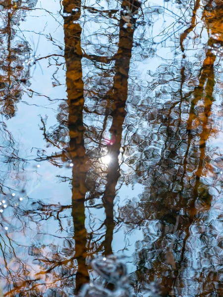 Resumo Árvore Céu Reflexões Água Textura Difusa Papel Parede — Fotografia de Stock