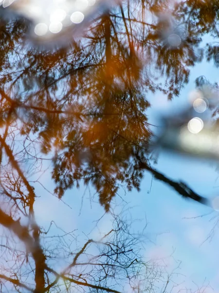 Abstrakte Baum Und Himmelsspiegelungen Wasser Verschwommene Textur Tapete — Stockfoto
