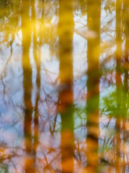 Abstrakte Baum Und Himmelsspiegelungen Wasser Verschwommene Textur Tapete — Stockfoto