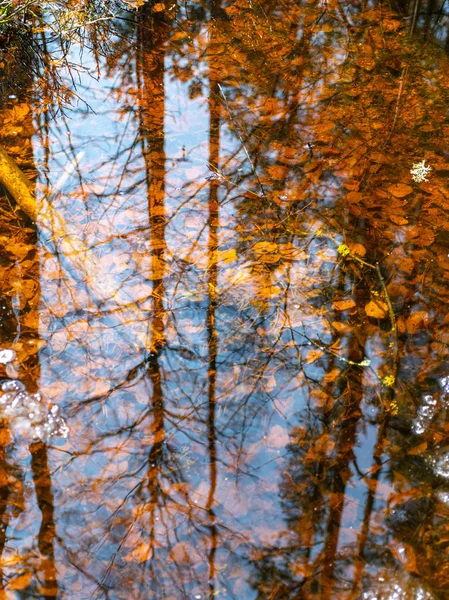 Astratto Albero Cielo Riflessi Acqua Texture Sfocata Carta Parati — Foto Stock