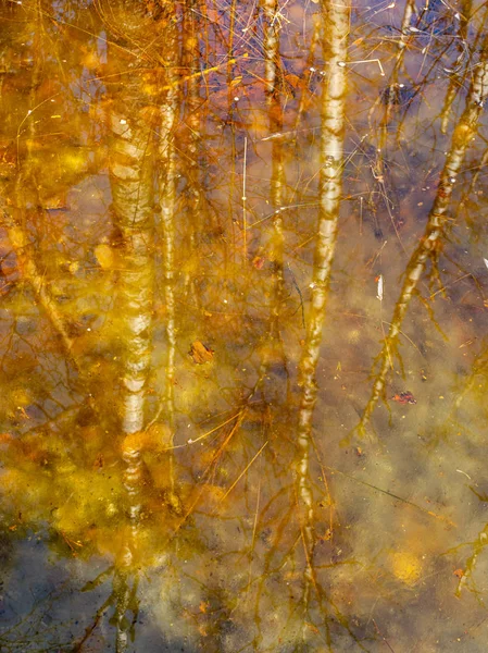 Abstrakte Baum Und Himmelsspiegelungen Wasser Verschwommene Textur Tapete — Stockfoto