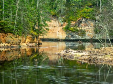 Sahilde küçük bir nehir ve yeşil ağaçlar var.