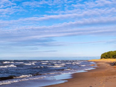 deniz kıyısı ile peyzaj