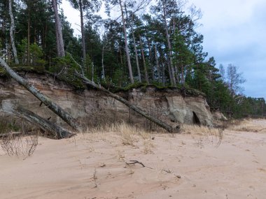 Güneşin doğuşunda kumtaşı kayalıklarıyla manzara