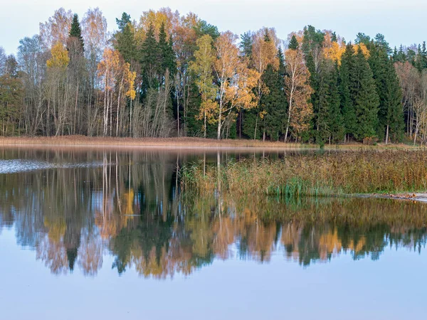Ландшафт с деревьями и облаками, отражающимися в спокойной воде — стоковое фото