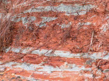 kırmızı ve beyaz kil desenli renkli soyut resim