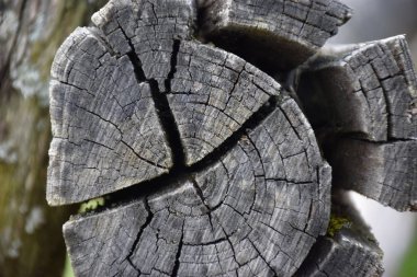 Ahşap desenli soyut resim