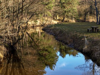 Küçük deniz kıyısı nehri ilkbahar günü erken saatlerde, mavi sakin su, ağaçların parıltısı