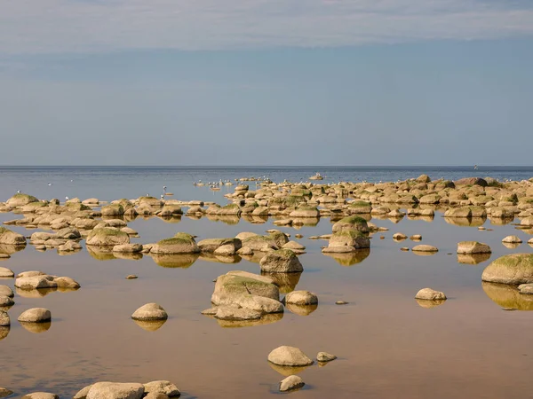 Sonnige Landschaft Mit Felsiger Küste Vidzeme Steinigen Strand Lettland — Stockfoto