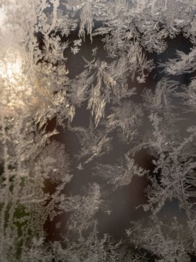 Buz çiçeği dokusu, bulanık arkaplanda buz çiçeği parçaları.