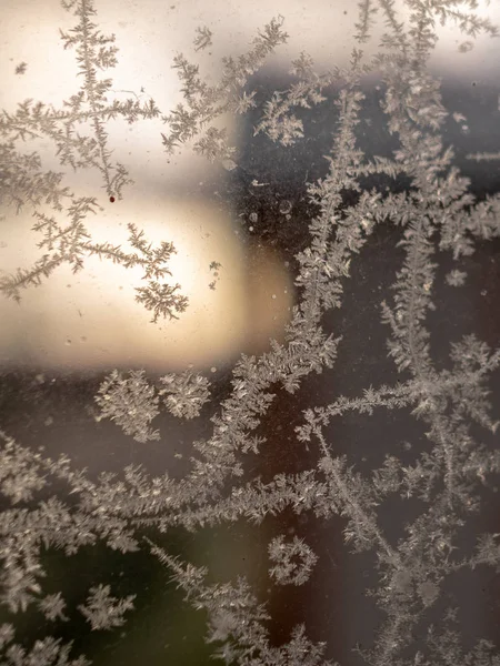 Textura de flor de hielo, fragmentos de flor de hielo sobre fondo borroso —  Fotos de Stock