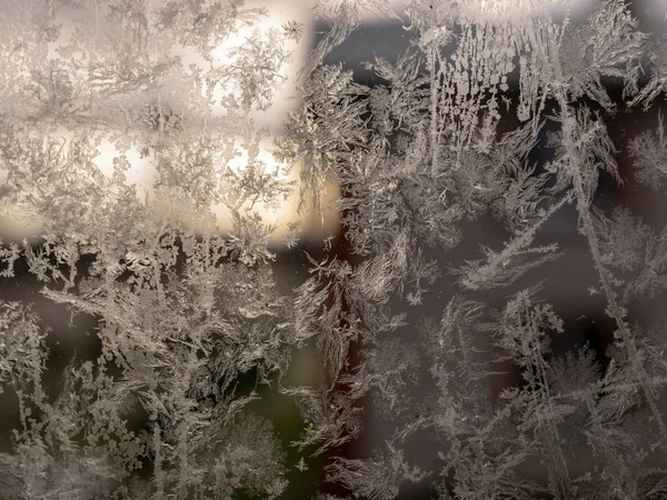 Textura de flor de hielo, fragmentos de flor de hielo sobre fondo borroso — Foto de Stock