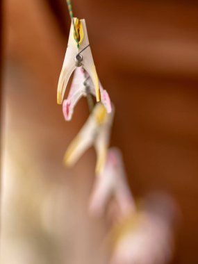 Elbise askıları çamaşır ipinde