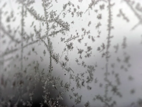 Textura de flor de gelo, fragmentos de flor de gelo no fundo turvo — Fotografia de Stock