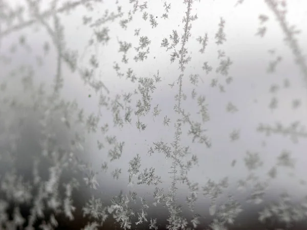 Текстура ледяного цветка, фрагменты цветка льда на размытом фоне — стоковое фото