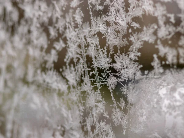 Tekstura kwiatów lodu, fragmenty kwiatów lodu na rozmytym tle — Zdjęcie stockowe