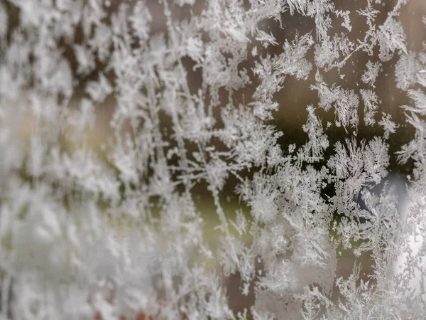 Textura de flor de hielo, fragmentos de flor de hielo sobre fondo borroso — Foto de Stock