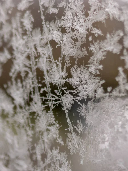 Tekstura kwiatów lodu, fragmenty kwiatów lodu na rozmytym tle — Zdjęcie stockowe